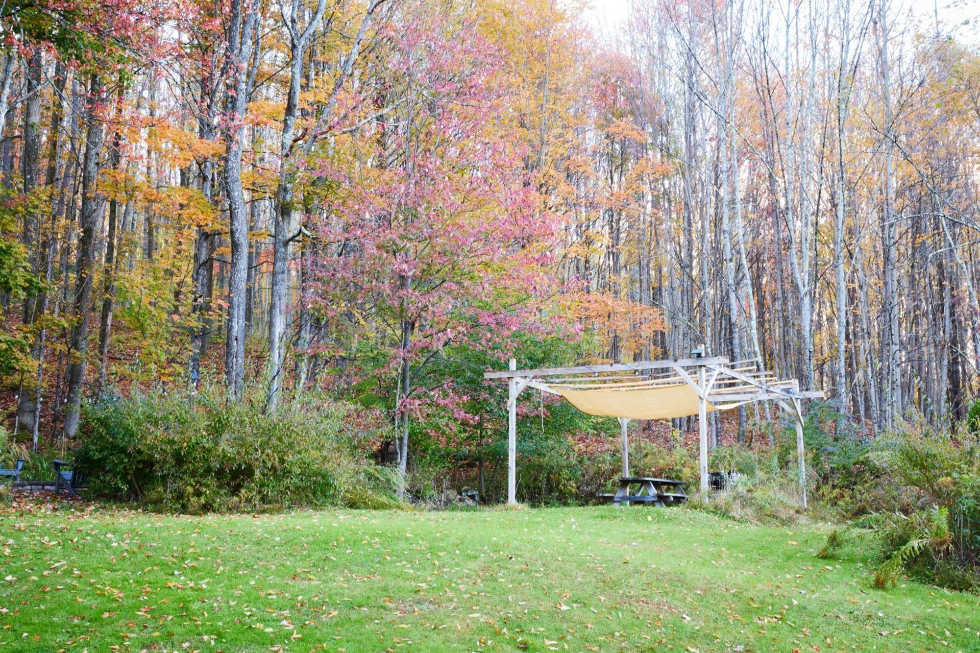 Cozy Cottage With Jacuzzi And Fire Pit And Reading Nook! Livingston Manor Eksteriør billede